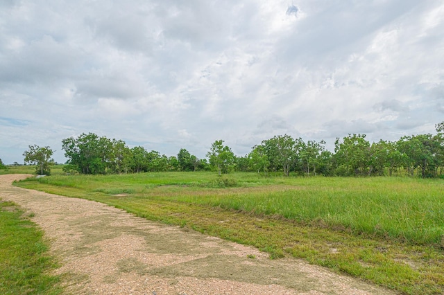 52.5ACRES Bernardo Rd, Cat Spring, TX 78933 - photo 3