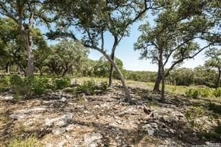 2081 Passare, New Braunfels, TX 78132 - photo 3