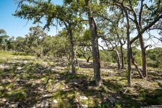 2081 Passare, New Braunfels, TX 78132 - photo 5