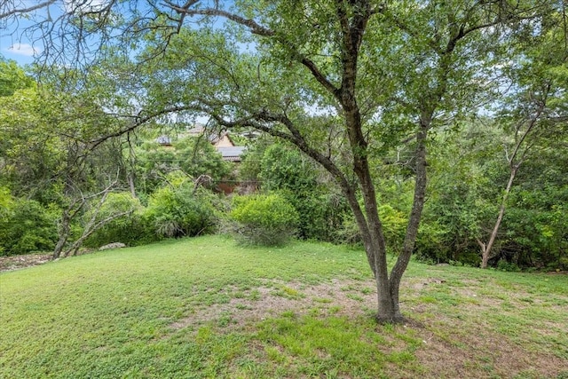 5813 Sandalwood Holw, Austin, TX 78731 - photo 6