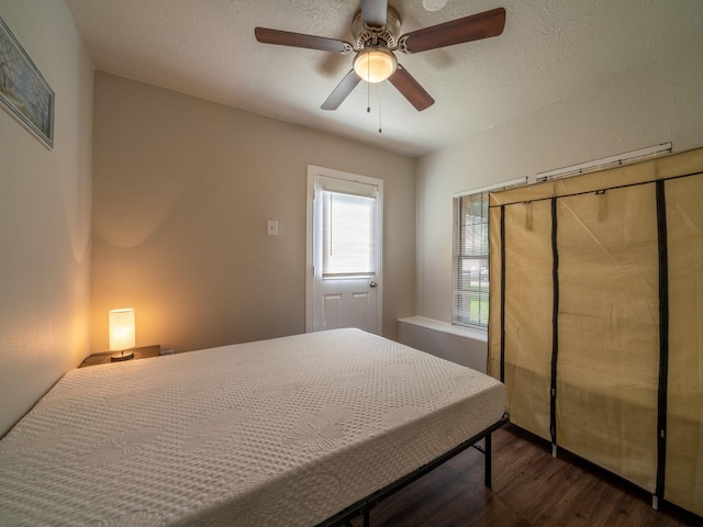 5742 Schevers St, Houston, TX 77033 - photo 28