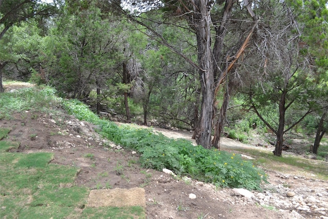 729 Canyon Bnd, Canyon Lake, TX 78133 - photo 4