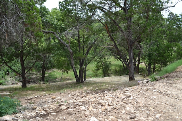 729 Canyon Bnd, Canyon Lake, TX 78133 - photo 5