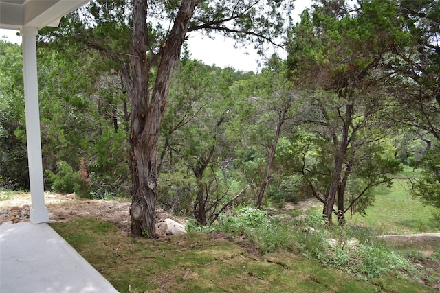 729 Canyon Bnd, Canyon Lake, TX 78133 - photo 6