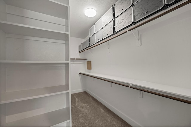 8217 Parnell St, Houston, TX 77051 - photo 23