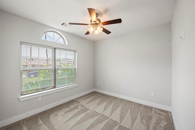 8217 Parnell St, Houston, TX 77051 - photo 13