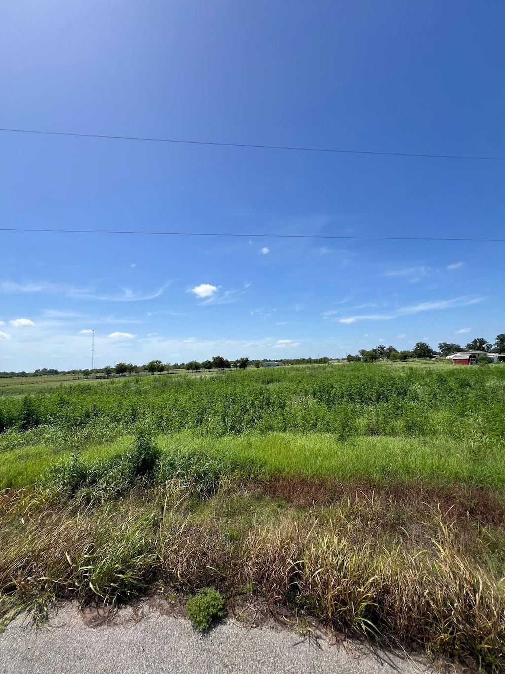 0 Junction Ln, Boling, TX 77420 - photo 3