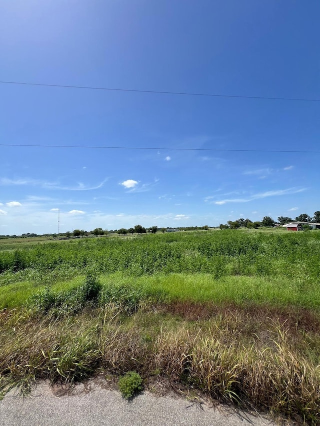 0 Junction Ln, Boling, TX 77420 - photo 3