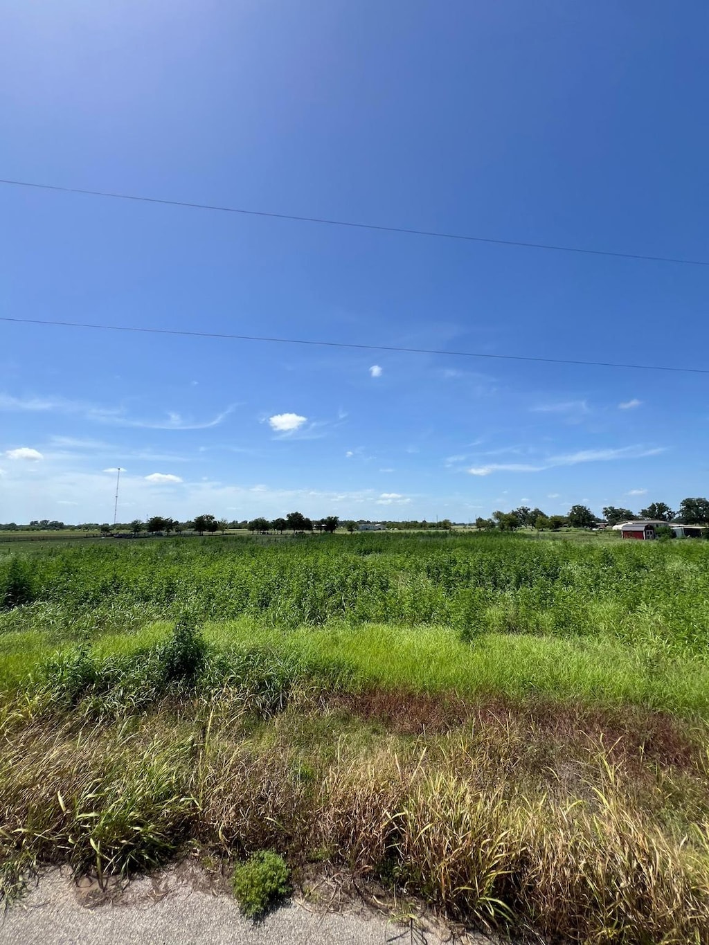 0 Junction Ln, Boling, TX 77420 - photo 4