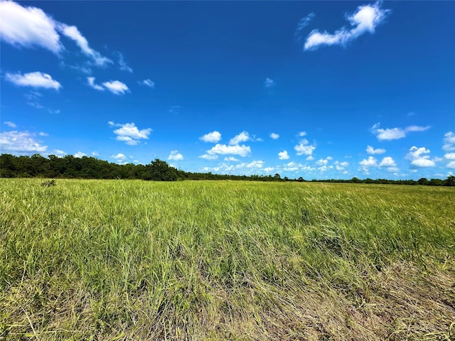 2101 W Bayshore Rd, Anahuac, TX 77514 - photo 7
