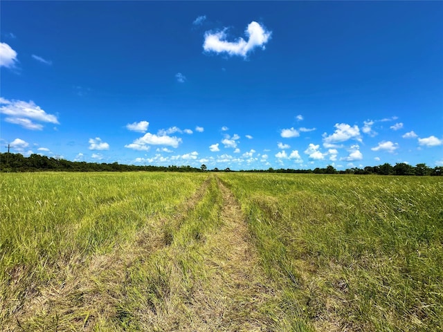 2101 W Bayshore Rd, Anahuac, TX 77514 - photo 8