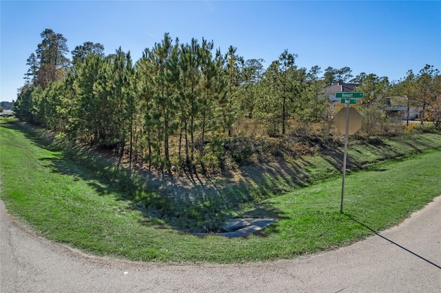 5018 Newport Ct, Spring, TX 77386 - photo 6