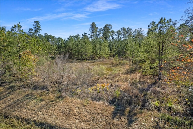 5018 Newport Ct, Spring, TX 77386 - photo 9