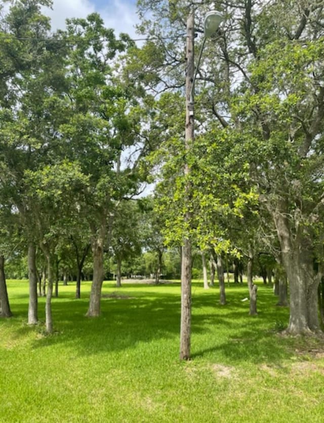 2702 Lake Rd, La Marque, TX 77568 - photo 2