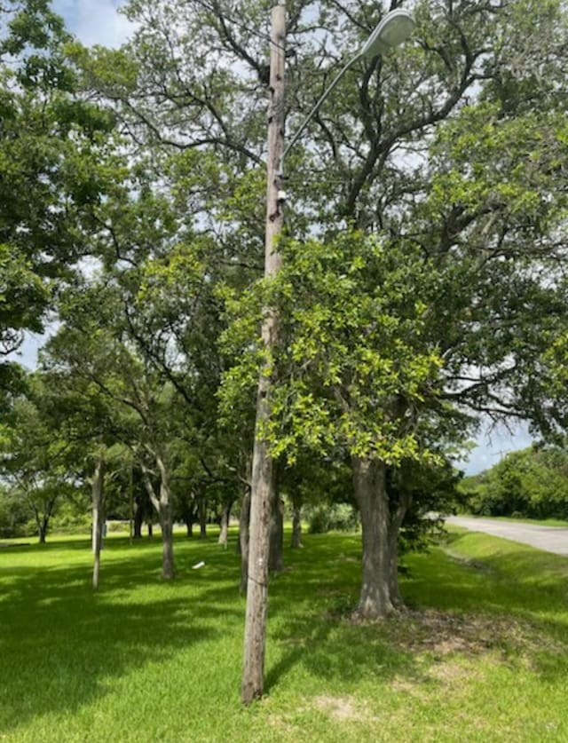 2702 Lake Rd, La Marque, TX 77568 - photo 5