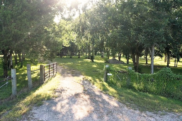 6114 County Road 42, Rosharon, TX 77583 - photo 3