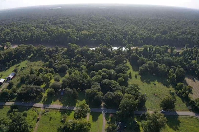 6114 County Road 42, Rosharon, TX 77583 - photo 10