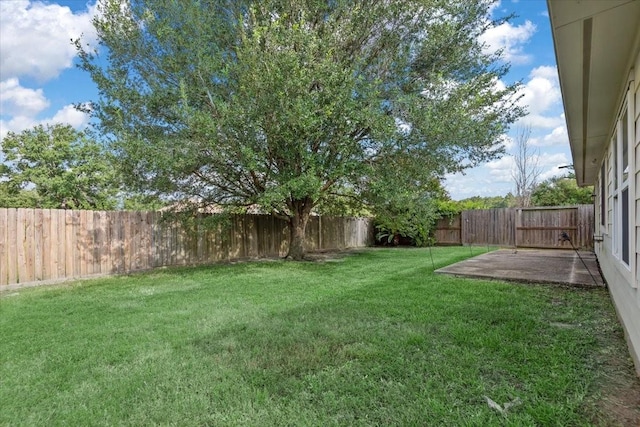 25519 Twister Trl, Spring, TX 77373 - photo 29