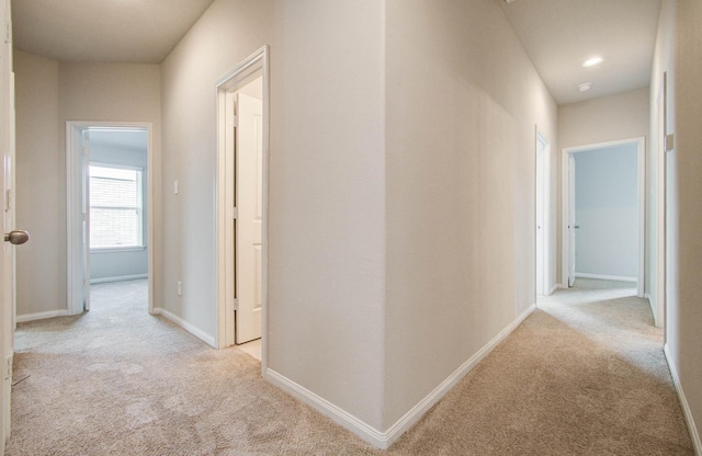 24910 Alberti Sonata Dr, Katy, TX 77493 - photo 33