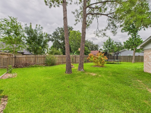 7135 La Entrada Dr, Houston, TX 77083 - photo 24