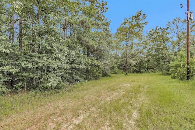 0 Mimosa Ln, Conroe, TX 77302 - photo 8