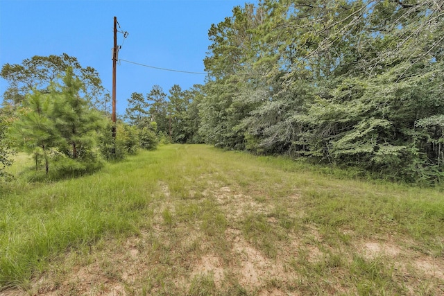 0 Mimosa Ln, Conroe, TX 77302 - photo 7