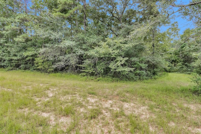 0 Mimosa Ln, Conroe, TX 77302 - photo 5