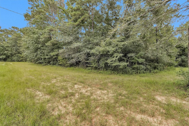 0 Mimosa Ln, Conroe, TX 77302 - photo 6