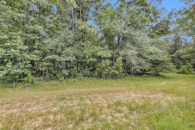 0 Mimosa Ln, Conroe, TX 77302 - photo 4