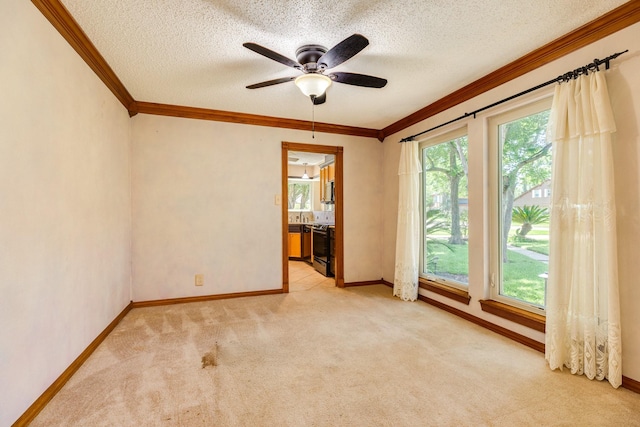 304 Arrowwood St, Lake Jackson, TX 77566 - photo 2