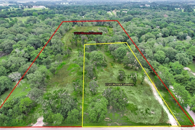 3ACRES Womack Cemetery Rd, Montgomery, TX 77316 - photo 12
