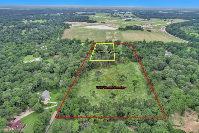 3ACRES Womack Cemetery Rd, Montgomery, TX 77316 - photo 14