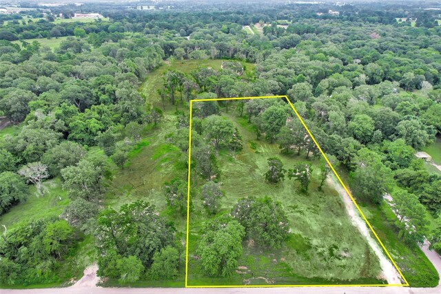3ACRES Womack Cemetery Rd, Montgomery, TX 77316 - photo 10