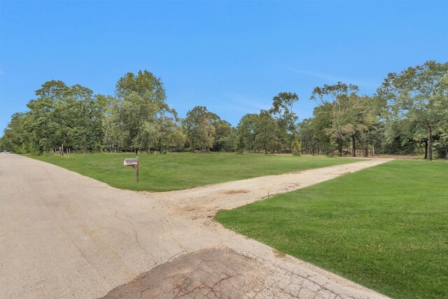 3ACRES Womack Cemetery Rd, Montgomery, TX 77316 - photo 8