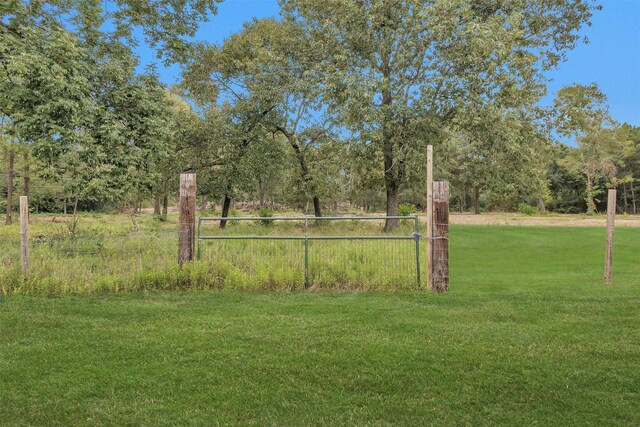 3ACRES Womack Cemetery Rd, Montgomery, TX 77316 - photo 6