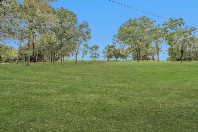 3ACRES Womack Cemetery Rd, Montgomery, TX 77316 - photo 4