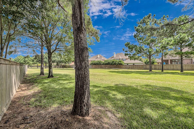 25903 Josey Springs Ln, Katy, TX 77494 - photo 40
