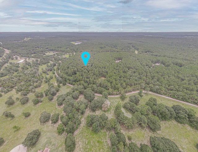 9947 Amelia Dr, Anderson, TX 77830 - photo 5