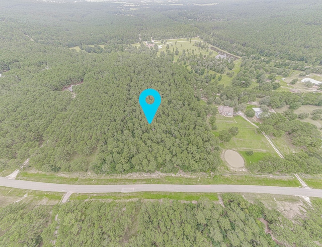 9947 Amelia Dr, Anderson, TX 77830 - photo 7