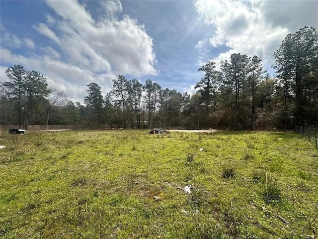 13614 Live Oak, Plantersville, TX 77363 - photo 3