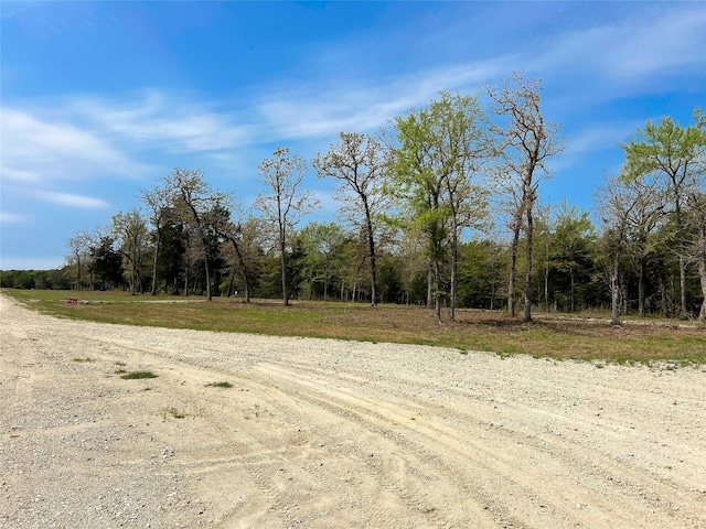 TBD Cr 389, Jewett, TX 75846 - photo 1