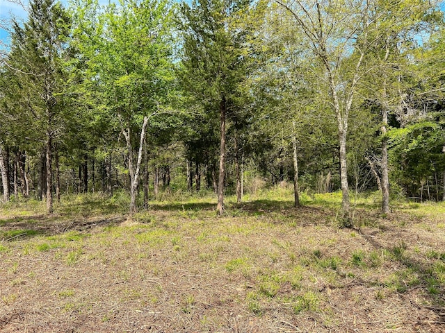 TBD Cr 389, Jewett, TX 75846 - photo 2