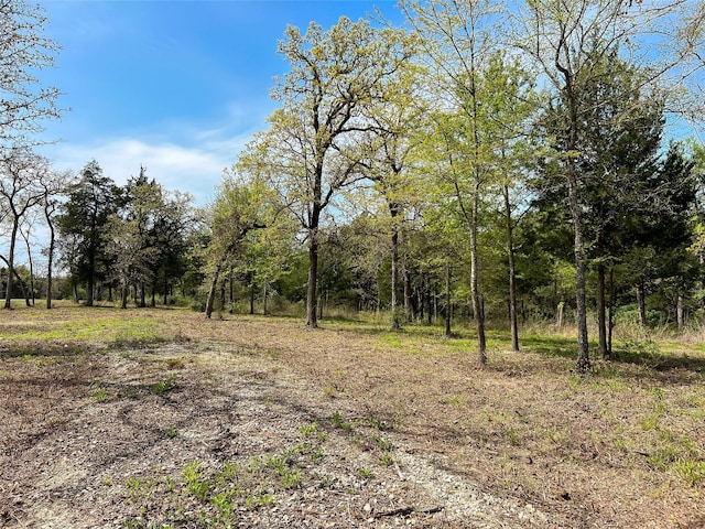 TBD Cr 389, Jewett, TX 75846 - photo 3