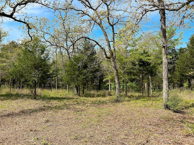 TBD Cr 389, Jewett, TX 75846 - photo 4