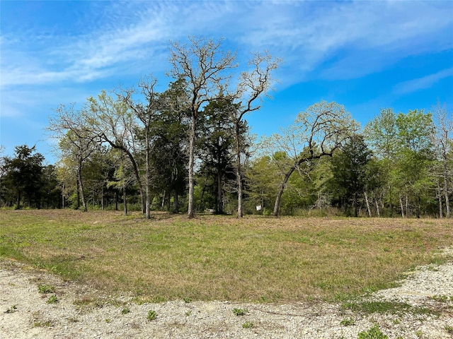 TBD Cr 389, Jewett, TX 75846 - photo 5