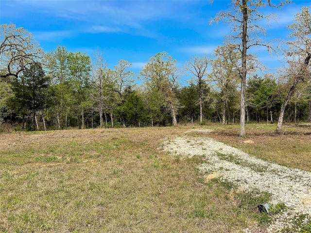 TBD Cr 389, Jewett, TX 75846 - photo 6