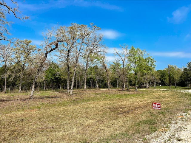 TBD Cr 389, Jewett, TX 75846 - photo 7