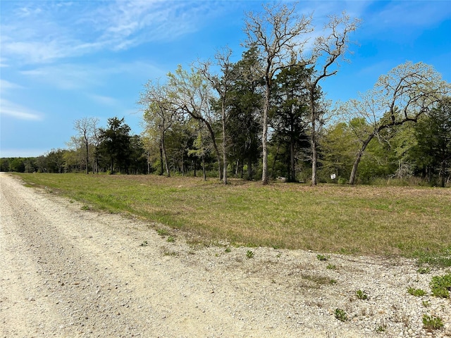 TBD Cr 389, Jewett, TX 75846 - photo 8