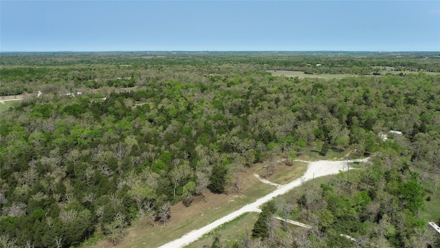 TBD Cr 389, Jewett, TX 75846 - photo 10