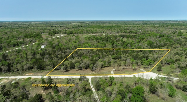 TBD Cr 389, Jewett, TX 75846 - photo 12